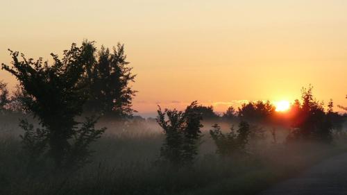 a sunrise over a field with trees and fog at Jaś i Małgosia nad Jeziorem Wigry in Rosochaty Róg