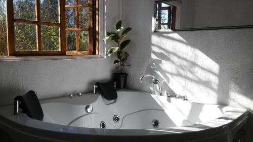 Fotografie z fotogalerie ubytování La Casa de Adobe Natural y Más v destinaci Bulnes