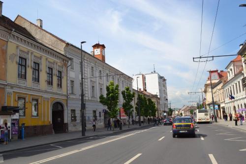 克盧日納波卡的住宿－Cluj Memorandumului Apt ultracentral cu parcare privata，相簿中的一張相片