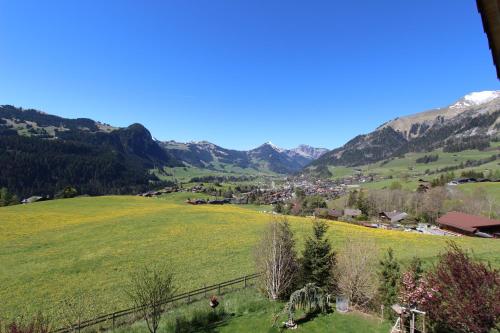 a view of a valley with mountains in the background at Chalet Du Mont in Chateau-d'Oex