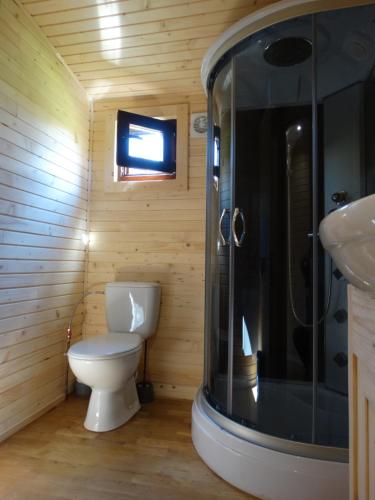 une salle de bain avec toilettes, douche et lavabo dans l'établissement La Roulotte, à Châtillon-en-Diois