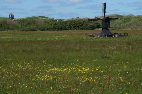 a field of grass with a windmill in the middle at Bed & Breakfast aan Zee in Callantsoog