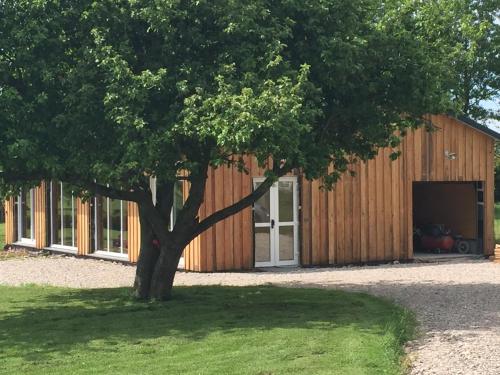 a tree in front of a wooden building at Gite Bobinou in Lisbourg