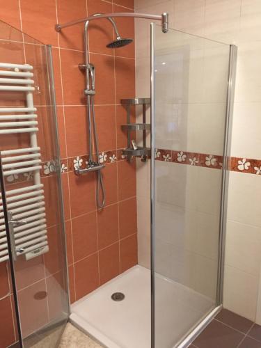 a shower with a glass door in a bathroom at Appartement des trois frontières in Apach