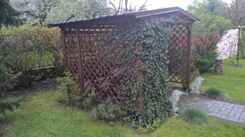 a fence covered in ivy in a garden at Apartament na Wrzosach in Toruń