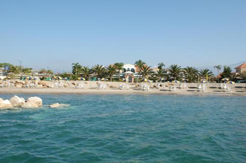 a beach with white chairs and a beach with palm trees at Donnarumma Hotel in Casal Velino
