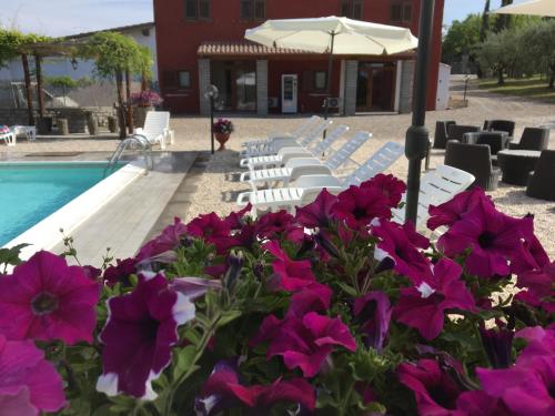 un grupo de sillas y flores junto a una piscina en Antico Sobborgo, en Vitorchiano