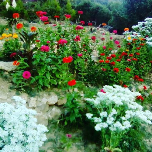 Villa Mora – Photos 4