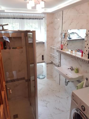 y baño con ducha y lavamanos. en Apartament Danuta Mrągowo en Mrągowo