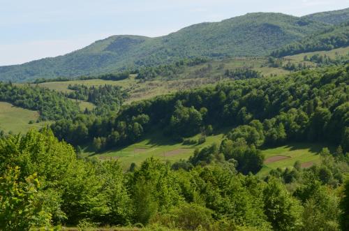 a view of a valley with trees and mountains at Sadyba Pikuy in Bilasovytsya
