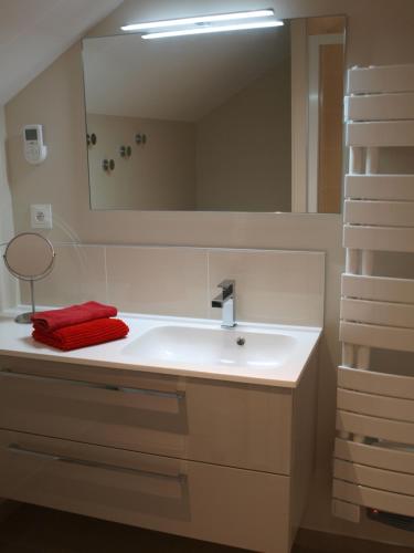 ニュイ・サン・ジョルジュにあるCottage nuitonのバスルーム(白い洗面台、鏡付)