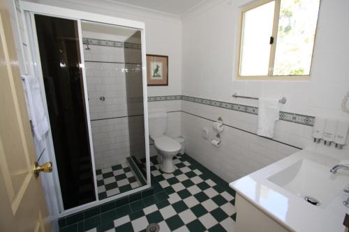 a bathroom with a toilet and a sink at Picton Valley Motel Australia in Picton