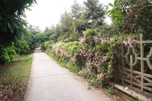 a path with pink flowers on a fence at Mekong Rustic Cai Be in Cai Be