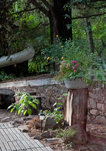Κήπος έξω από το Casita de Piedra B&B