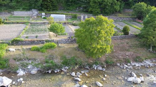 - une vue aérienne sur un jardin avec un banc et un arbre dans l'établissement Hôtel Fleur des Alpes, à La Brigue