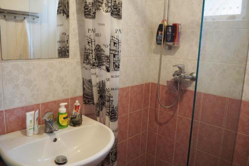 a bathroom with a sink and a shower at Lootuse Apartment in Tallinn