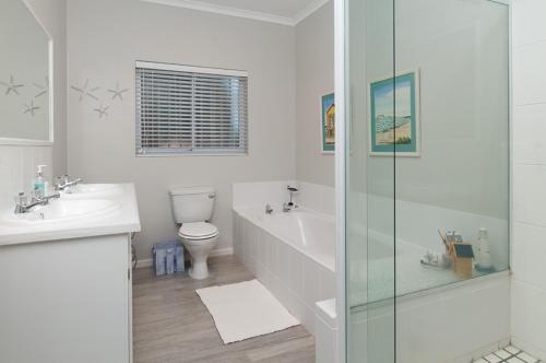 a bathroom with a shower and a toilet and a sink at On The Rocks in Hermanus