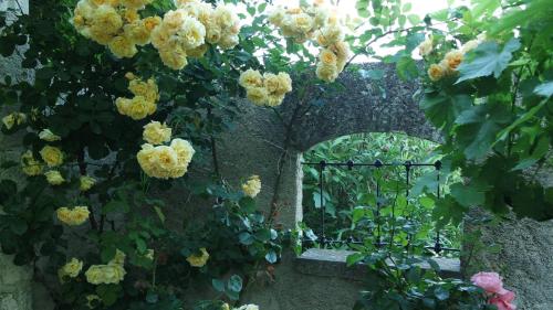 a garden with roses growing on a stone wall at Mas Grimaud - Gîte- Studio et chambres d'hôtes familiales in Eygalières