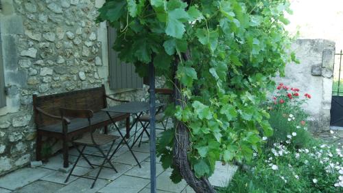 a table and chairs under a tree in a garden at Mas Grimaud - Gîte- Studio et chambres d'hôtes familiales in Eygalières