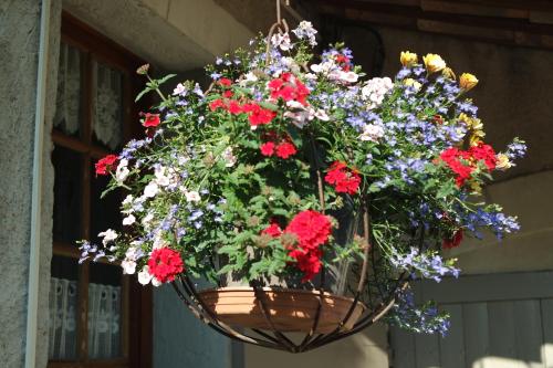 a basket filled with flowers hanging from a building at Mas Grimaud - Gîte- Studio et chambres d'hôtes familiales in Eygalières