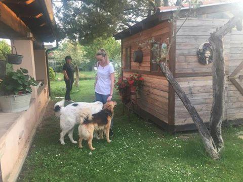 a woman standing next to two dogs in a yard at Casa de' Trinci in Foligno