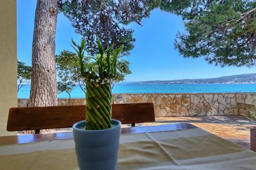 a plant sitting on a table with a view of the ocean at Apartments & Bungalows Ivanović in Kaštela