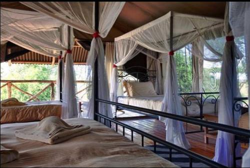 1 dormitorio con 2 camas con cortinas en Mbali Mbali Tarangire River Camp en Kwa Kuchinia