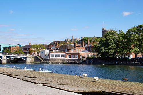 a group of swans on a river with a bridge at Sir Christopher Wren Hotel in Windsor