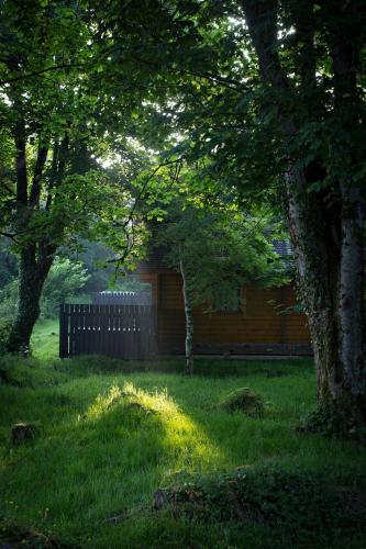 a house in the middle of a yard with trees at Lusty Beg Island in Kesh