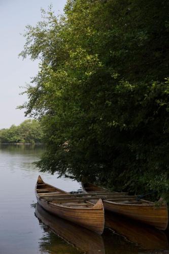 three boats sitting in the water next to a tree at Lusty Beg Island in Kesh