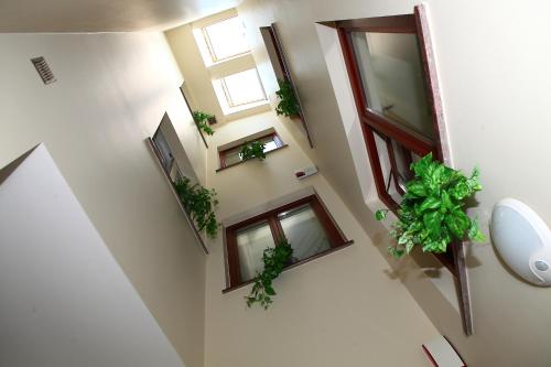 Kúpeľňa v ubytovaní Apartamenty Szabla Bydgoszcz