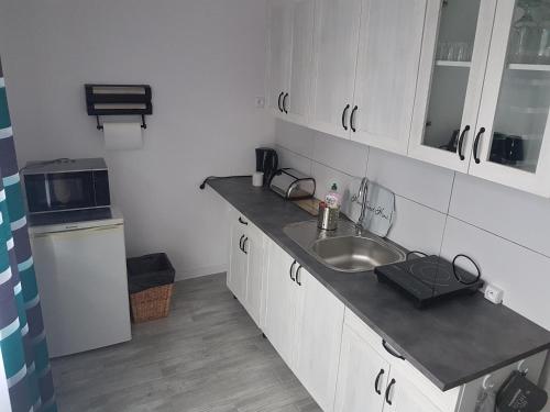 a small kitchen with a sink and a microwave at Willa Grafit in Karpacz