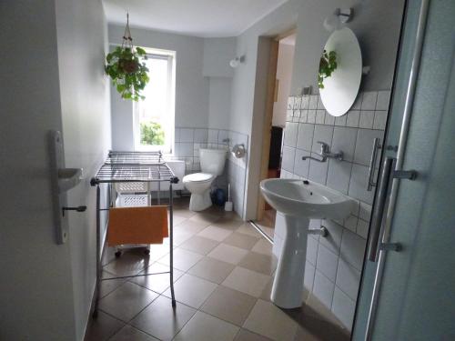 a bathroom with a sink and a toilet at Bluszcz in Władysławowo