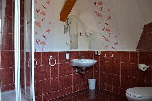 een badkamer met een toilet, een wastafel en een douche bij Pension Arietta in Plauen