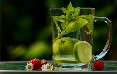 Bebidas en B&B Het Wellnest