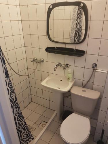 a bathroom with a toilet and a sink and a mirror at Willa Grafit in Karpacz