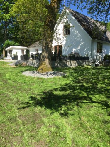 a tree in front of a white house at Holiday House Billundvej 74 in Randbøl