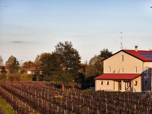 una casa blanca con techo rojo junto a un viñedo en El Sesterzio, en Oderzo