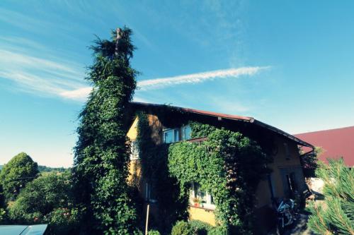 a building covered in ivy next to a house at Agroturystyka Tyniok in Koniaków