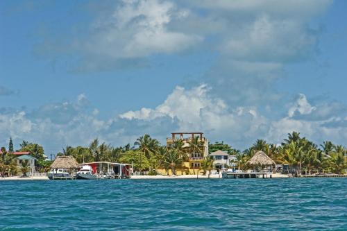a view of a beach with houses and palm trees at Caye Reef Condos in Caye Caulker