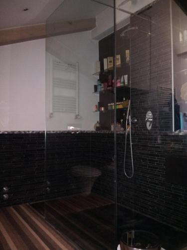 a bathroom with a glass shower with a toilet at Villa Maria in Turin