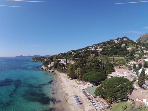 Photo de la galerie de l'établissement Les Sarments, au Lavandou