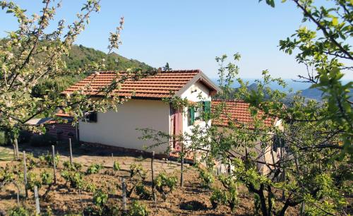 une petite maison dans un vignoble avec des montagnes en arrière-plan dans l'établissement L'Oasi del Rossese, à Dolceacqua