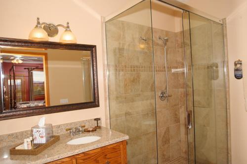 a bathroom with a shower with a sink and a mirror at Berry Springs Lodge in Sevierville