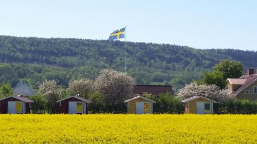 a flag on top of a hill with houses and a rapeseed field at Mellomgården in Norra Lundby