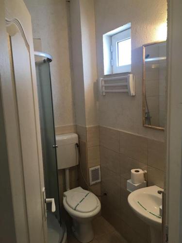 a small bathroom with a toilet and a sink at Camere de inchiriat David in Eforie Nord
