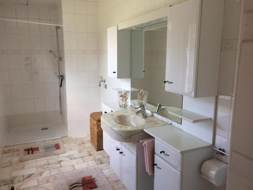 a bathroom with a sink and a shower at Familienhof Müritz in Klein Plasten