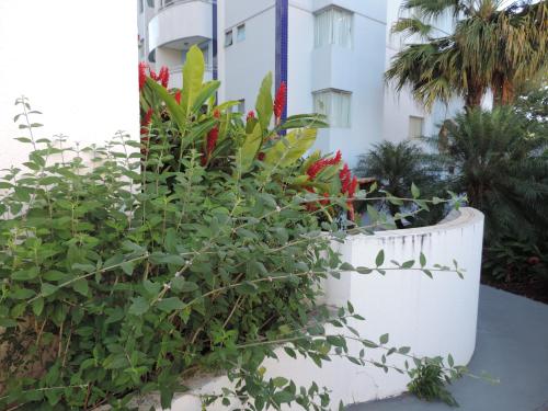 Κήπος έξω από το Flat Águas da Serra - com acesso ao rio