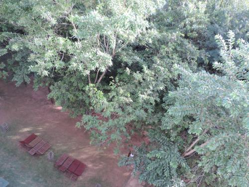 Κήπος έξω από το Flat Águas da Serra - com acesso ao rio