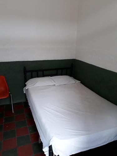 a bed in a room with a green wall at Residencias Escorial in Palmira